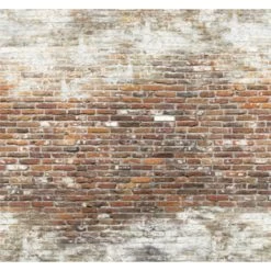 Fotobehang Brick Wall 2 (105416)