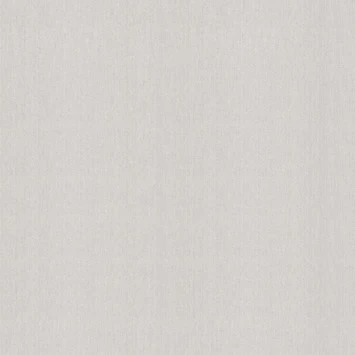 Superfresco Easy Vliesbehang Extra Breed Glitter Uni Grijs (104485) 3 Superfresco Easy Vliesbehang Extra Breed Glitter Uni Grijs (104485)