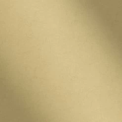 Boutique Vliesbehang Kalm Goud 33-343